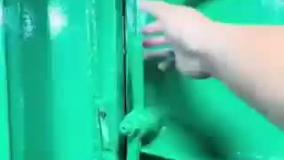 امنیت توالت