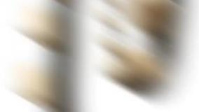 تولید انواع نوار نقاله و تسمه لاستیکی / تسمه نوار نقاله پلاستیکی / مدولار / pvc