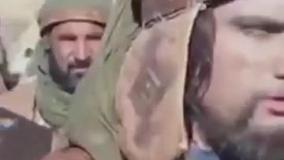 استاد شجاعی