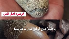 خرمهره تراش خورده انرژیش کم میشه ؟