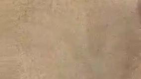 فروش جو -فروش گندم - فروش کاه - فروش یونجه