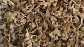 تفاله پرک - تفاله خشک - تفاله تر