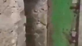 کلیپ ترسناک و کوتاه یهویی: جیغ زدن جن تو دوربین!