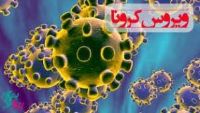 معاون وزارت بهداشت : کرونا هرگز حذف نمیشود | 22 اردیبهشت 1404