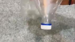 کاردستی حیوانات با بطری نوشابه