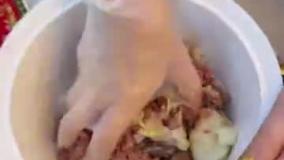 بلاگر ایرانی