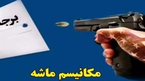 تهدید بقایی: اگر سازوکار ماشه اجرا شود آن را بی‌پاسخ نمی‌گذاریم| 29 اردیبهشت 1404
