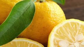 معرفی عطر تروساردی ریفلسو بلو ویب در عطرآمین