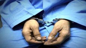 عامل شکنجهٔ دختر ۱۶ ساله در ملارد دستگیر شد| 02 خرداد 1404