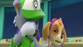 کارتون سگ های نگهبان نجات کریسمس | انیمیشن سگ های نگهبان جدید طولانی