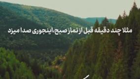 زندگی اسلامی