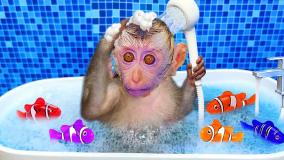 برنامه کودک بچه میمون :: بازی میمون کوچولو :: میمون کوچولو بازیگوش جوجه اردک