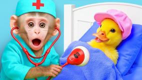 کارتون بچه میمون شیطون: میمون کوچولو از نوزاد اردک مراقبت میکند!