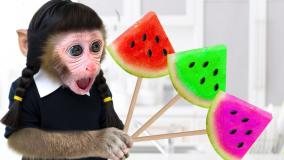 کارتون بچه میمون شیطون: میمون کوچولو یک روز شاد را در طبیعت میگذراند!