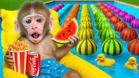 کارتون بچه میمون شیطون: میمون کوچولو در طبیعت ماهی رنگی میگیرد!