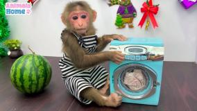 کارتون بچه میمون شیطون: میمون کوچولو هدیه کریسمس میگیرد!