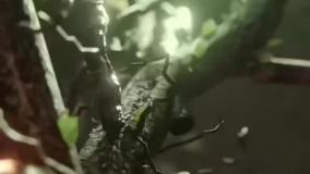 خداوند در قلب انسان مومن جا می‌شود