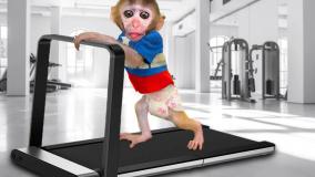 کارتون بچه میمون شیطون: میمون کوچولو کار و ورزش میکند!