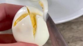 سفره آرایی گل لاله