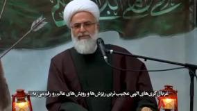 مراقب باشید جا نمودید