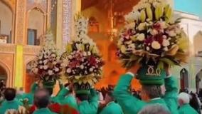 کلیپ استوری تولد امام رضا مبارک / کلیپ گل آرایی حرم امام رضا ع به مناسبت تولد