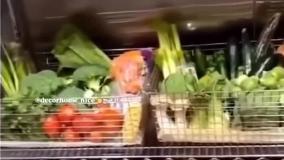 یخچال کیم کارداشیان