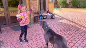 برنامه کودک ناستیا و بابایی جدید دیدار با مادربزرگ | کارتون ناستیاشو سرگرمی طولانی