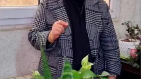 سه مدرکی  که باید نگه داری