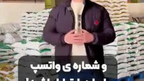 خرید عمده برنج