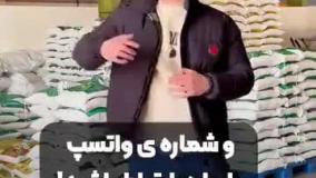 خرید عمده برنج