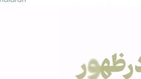 استاد رائفی پور