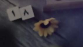 استاد رائفی پور