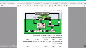 تحلیل سوالات گیاهی مرحله اول | تسلط کامل بر مبحث ترسناک زیست گیاهی!