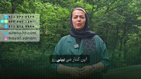 طراحی سایت در پل دختر