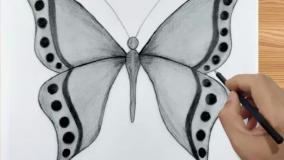نقاشی پروانه زیبا و ساده