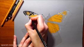 آموزش نقاشی پروانه با مداد رنگی