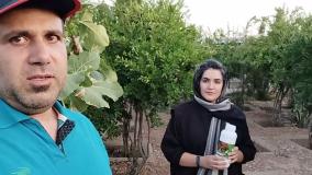 استفاده خانم نگار شمس از سم کرم گلوگاه بادرام تاج در شیراز : مخترع shervin tagha