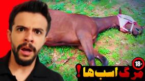 داستان ترسناک مرگ اسب ها با ویدیو