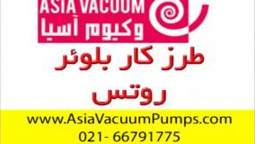 طرز کار بلوئر روتس ، روتس بلوئر
