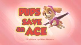 دانلود انیمیشن سگ های نگهبان جدید -سگهای نگهبان جدید | کارتون سگهای نگهبان