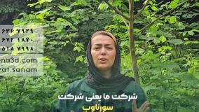 طراحی سایت در برازجان