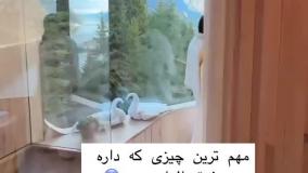 کوچک‌ترین خانه جهان
