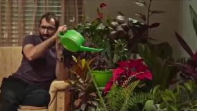 سینمایی جوجه تیغی - فیلم ایرانی کمدی و طنز