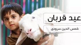 کلیپ استوری عید قربان مبارک 1404 | مهربانی را هدیه کنیم عید قربان مبارک