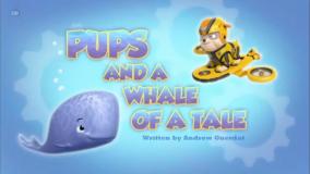 سگهای نگهبان جدید ... کارتون کودکانه سرگرمی