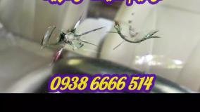 ترمیم و تعمیر شکستگی شیشه جلو ماشین ، ترمیم شیشه در محل رسپینا ، 09386666514