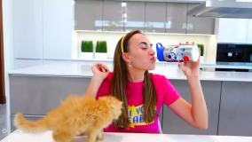 برنامه کودک ولاد و نیکی بچه گربه | کارتون نیکیتاشو بازی و سرگرمی