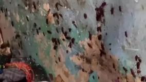 تمیز کردن خانه کثیف