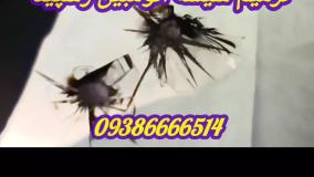 تعمیر شکستگی شیشه ماشین ، تعمیر شیشه در محل 09386666514