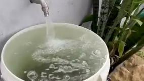 کارتون ماشین بازی جدید ماشین ها و مار قرمز بزرگ | برنامه کودک ماشین بازی رنگی